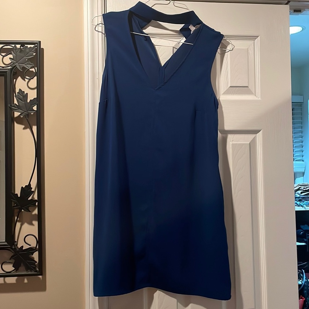 Jack by BB Dakota Dress - Small - Blue